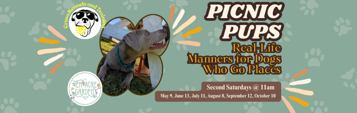 Picnic Pups: Real-Life Manners for Dogs Who Go Places