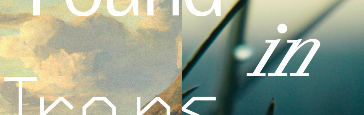 Scotland + Venice | Found in Translation: Architecture, Land, Landscape, Language