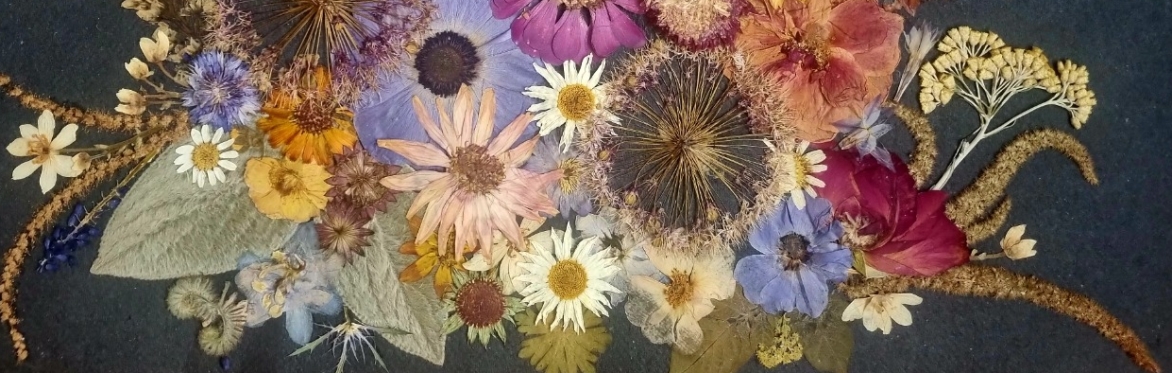 Mindfulness Through Pressed Flowers