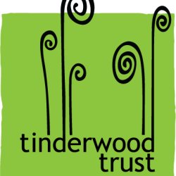 Tinderwood trust logo of ferns