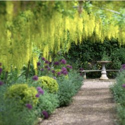 Dorothy Clive Gardens Visit