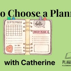 How to Choose a Planner with Planned Chaos Stationary
