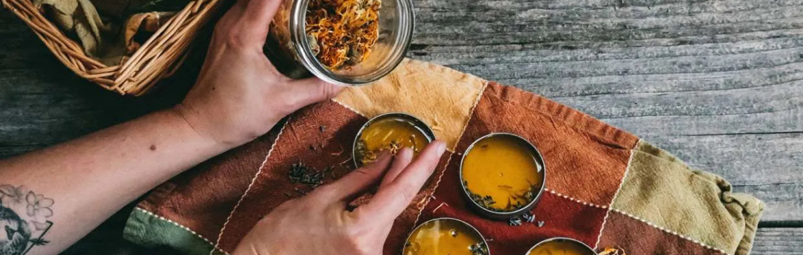 online herbal medicine course