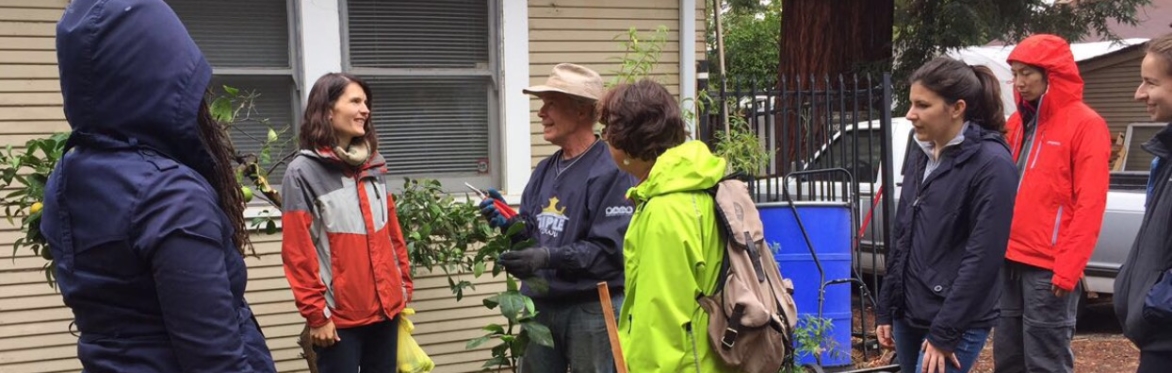 Fruit Tree Pruning and Stewardship 101 / Poda y administración de árboles frutales 101