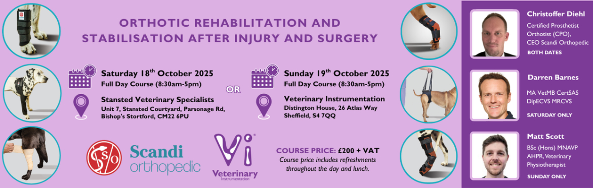 Orthotic Rehabilitation and Stabilisation after Injury and Surgery
