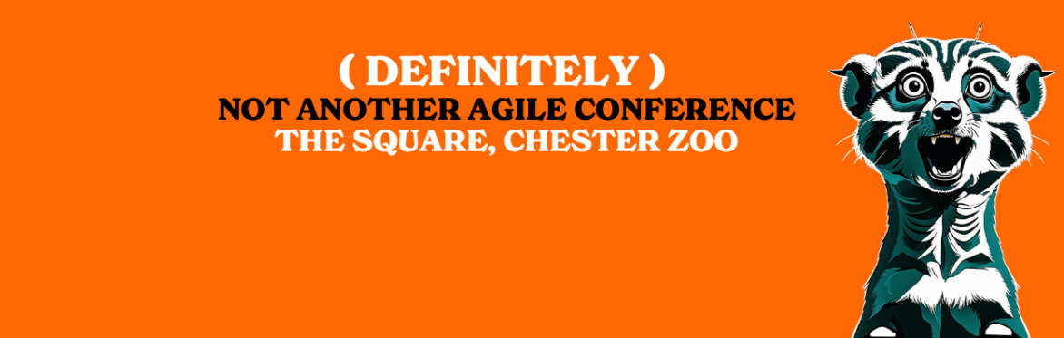 ( DEFINITELY )  Not Another Agile Conference