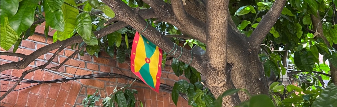 In memory of Ms. Marline and celebration to the Grand Grapefruit Tree