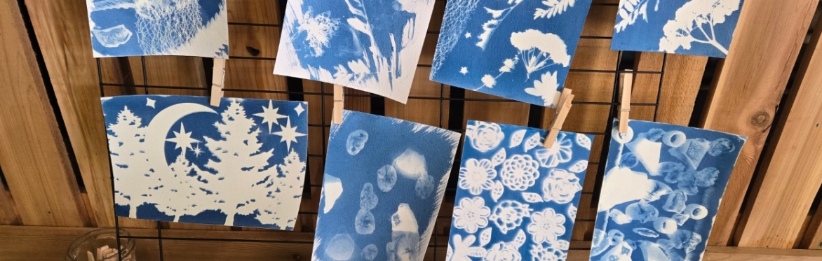 Cyanotype for All - Photo Edition