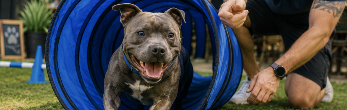 Central Bark Social