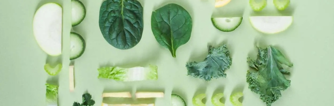 online herbal medicine course