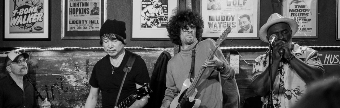 Dust Me Down Blues Band