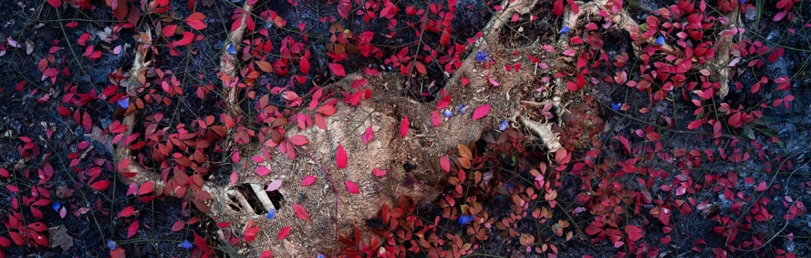 Join Us for Our Fabulous Fall Exhibition Cycle