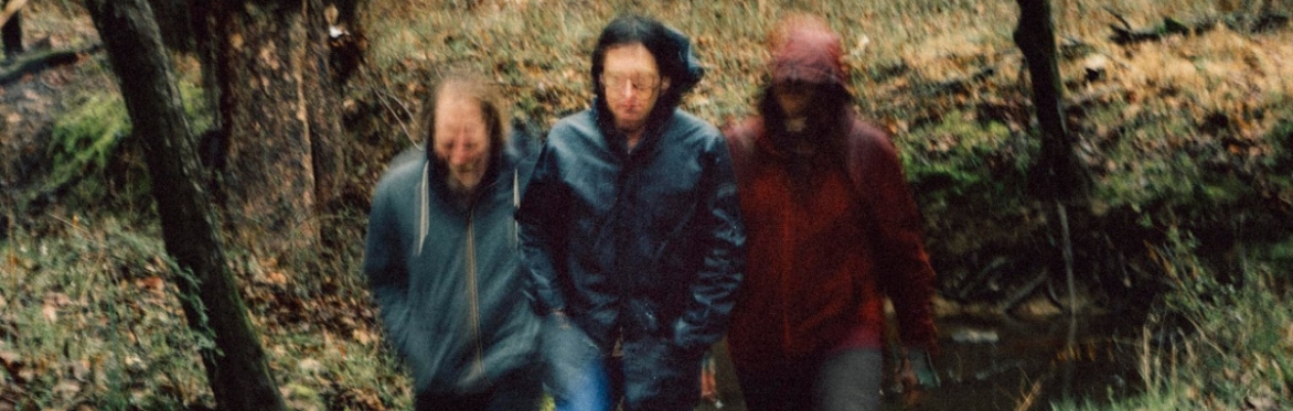 Setting with Nathan Bowles, Jaime Fennelly, and Joe Westerlund / Sally Anne Morgan