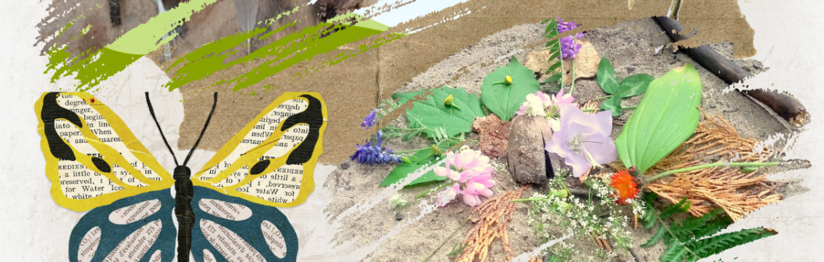 Collage on a textured background with cursive handwriting, featuring a variety of elements: a collection of feathers in natural colors, a butterfly with wings made from book pages and yellow and black