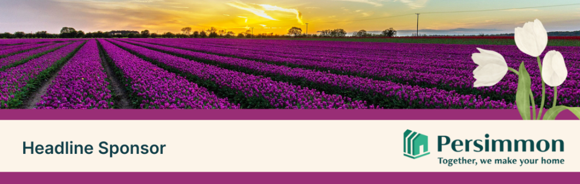 Tulips for Tapping 2025