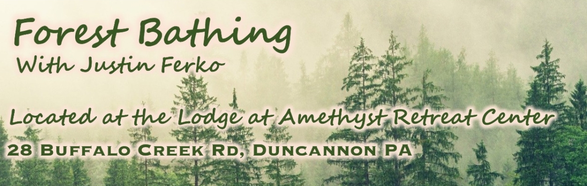 Forest Bathing