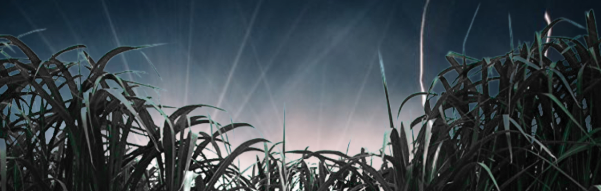 The Long Wet Grass (A Radio Play)