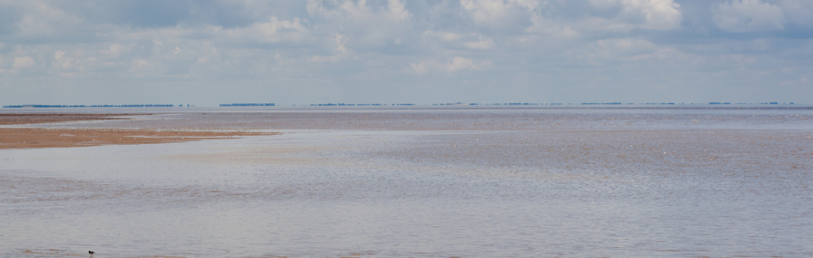Your Coast - Explore, Enjoy, Protect (The Wash and North Norfolk Online Event)