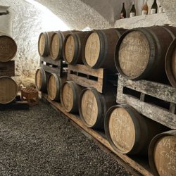 Terroir Wines - Wine Tasting