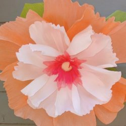 Paper Flowers Workshop