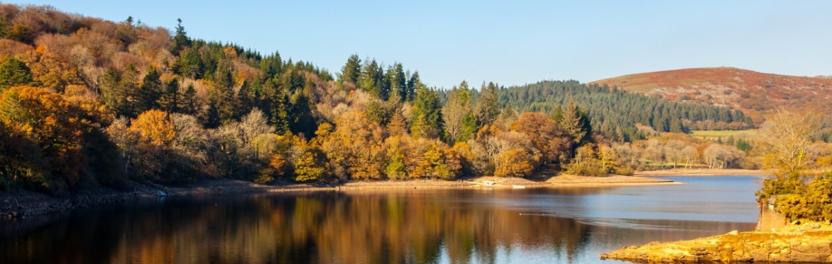 Autumnal Walk at Burrator Reservoir