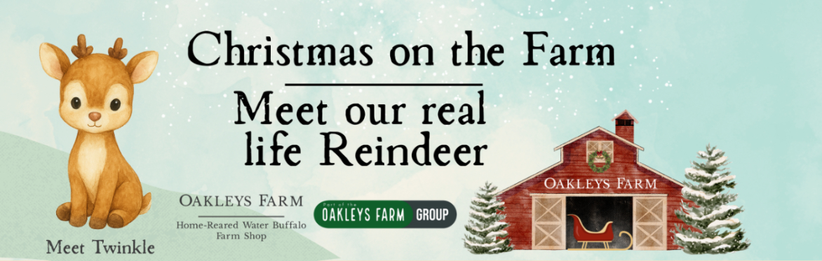 Christmas On The Farm