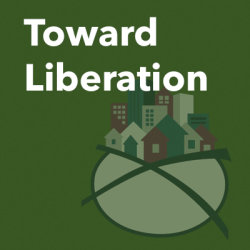 Digital Toward Liberation, 3 days June 15th, 17th and 19th, 9:30am-5:30pm Central
