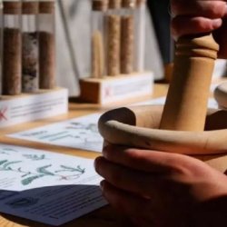 Fuori programma per bambini - Sottosopra: prospettive vegetali