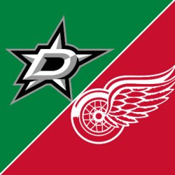 DFW Spartans Annual Red Wings / Stars Game