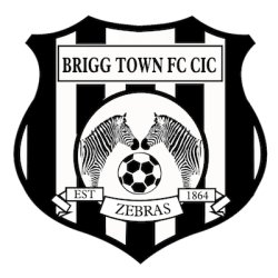 Brigg Town Fc V Scunthorpe United         (Julie Taylor Trophy)         1900 KO
