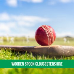 Wooden Spoon Gloucestershire Cheltenham Cricket Festival 2026 (84926EV1)