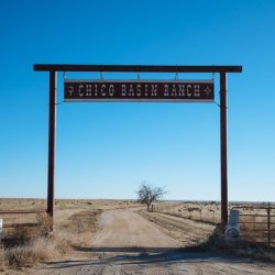 Chico Basin Ranch Birding: All Dates 2026