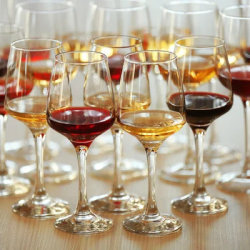 2024 Burgundy Mega-Tasting