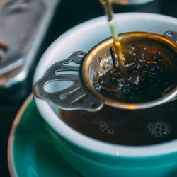 herbal medicine course
