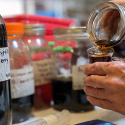 herbal medicine course
