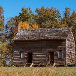 Log cabin in a clearing