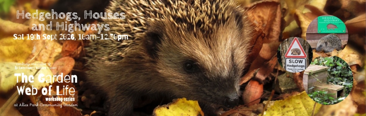 Hedgehogs, Houses and Highways - The Garden Web of Life Workshop Series