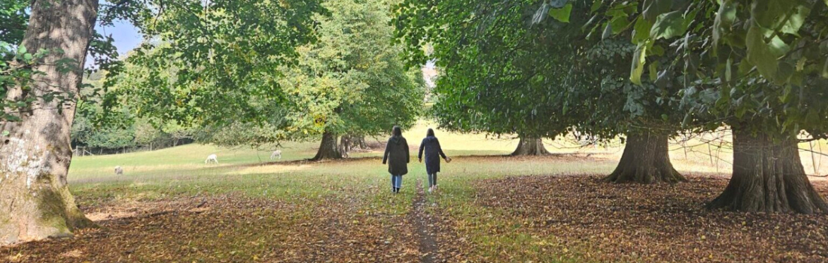 In Austen's Footsteps: Guided Estate Walk