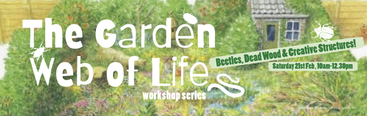 Beetles, Dead Wood and Creative Structures - The Garden Web of Life Workshop Series