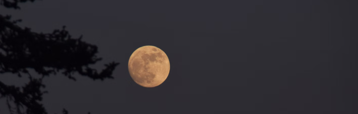 Moon Bathing with Hawk and Heath