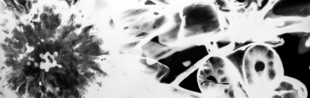 T25. Handmade Negatives: Tracing Light by Hand with Ergül Karagözoğlu