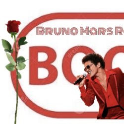 Bruno Mars🌹ROUND-TRIP shuttle (TIMES SQUARE) to MetLife Stadium