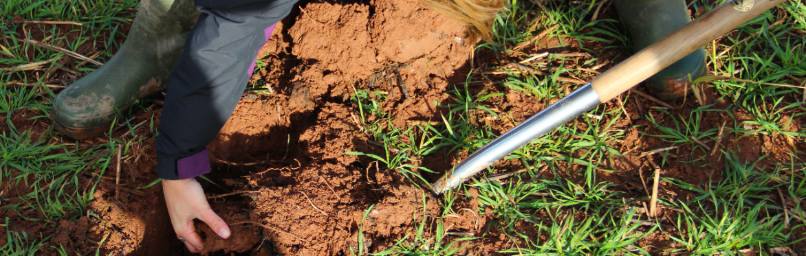 Healthy Soils Connected @ RAU