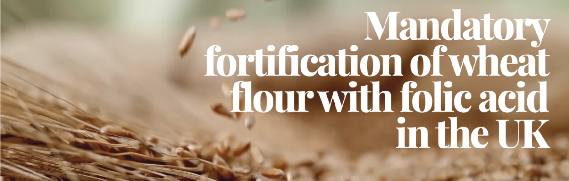 Folic Acid In Your Flour: A Judicial Review?
