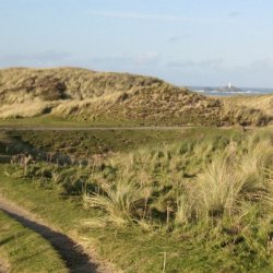 Walk at Godrevy Warren, Gwithian led  by Jacqueline Nowakowski and Martin Rule