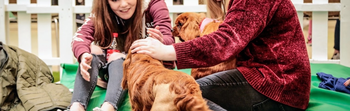 Puppy Petting Day @ The Boulevard