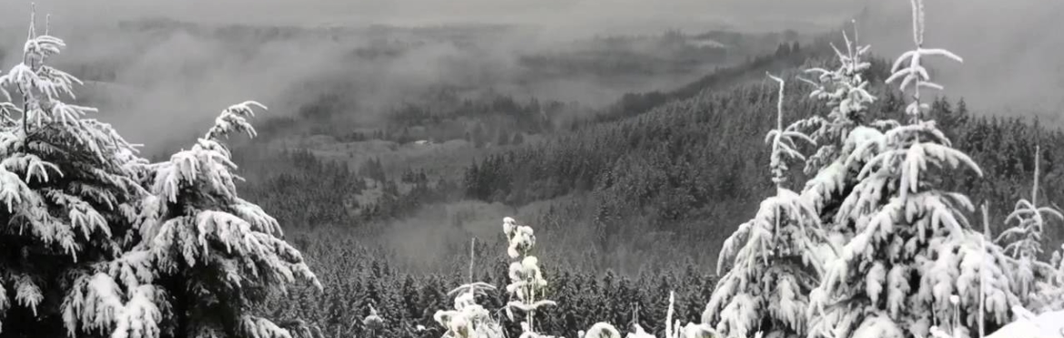 Cascadian Yule XX