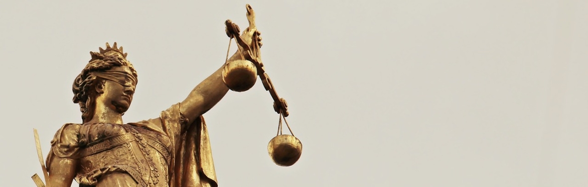 Justice delayed is justice denied: how to bring damages claims for delays in Parole cases