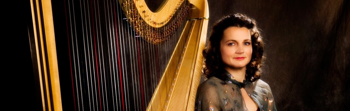 Saturday Salon: The Harp - A Palette of Colours