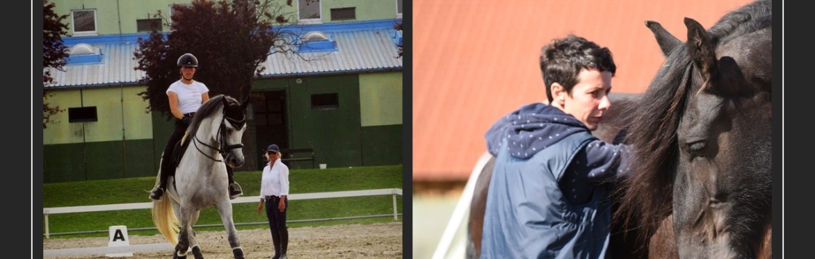 Exclusive BHS Ireland Adult Camp with Liz Eaton FBHS and Jele Dominis at Ashbrooke House
